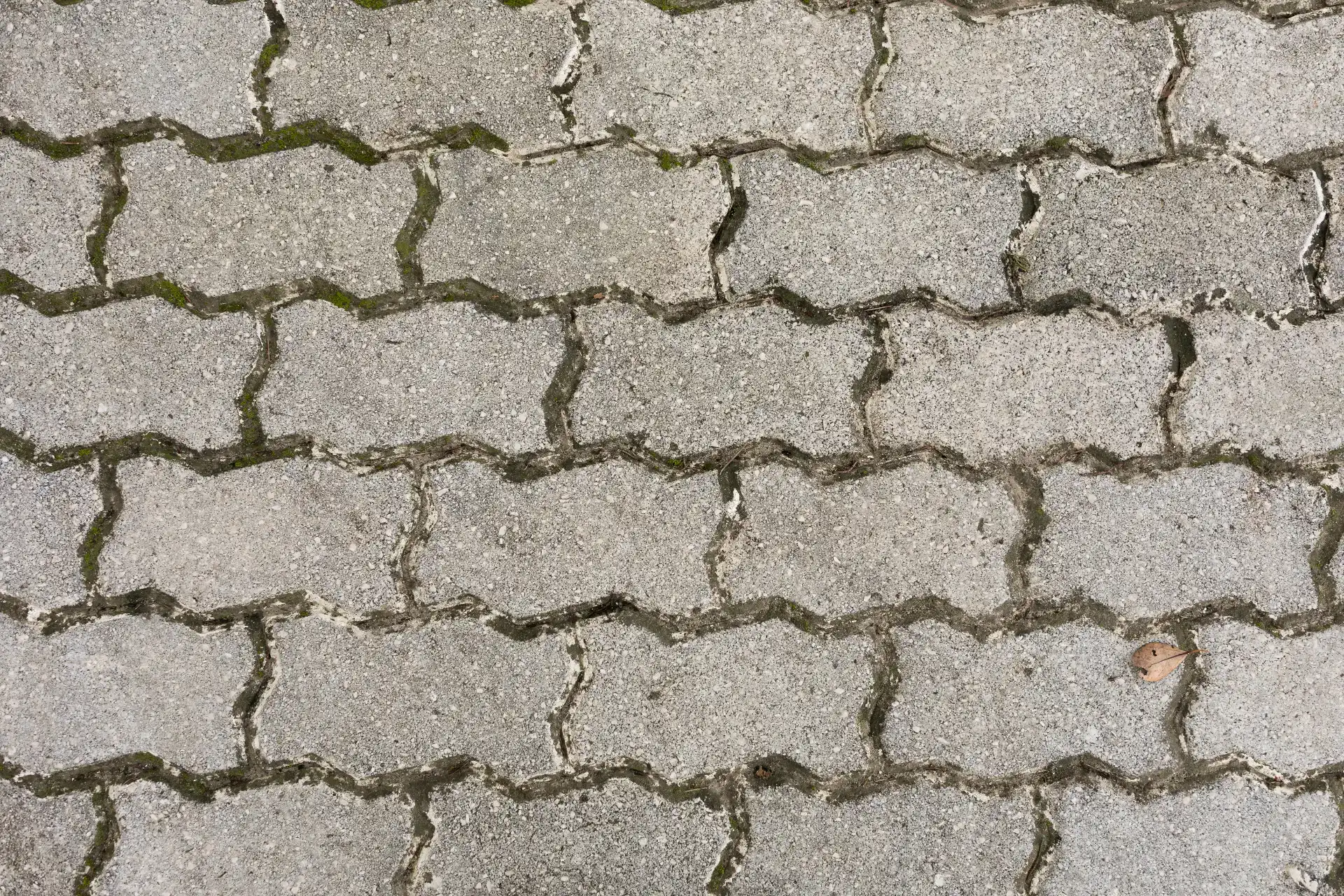 איך מתבצעת הרמת אבנים משתלבות בחצר בית פרטי לשמירה על מראה אחיד?