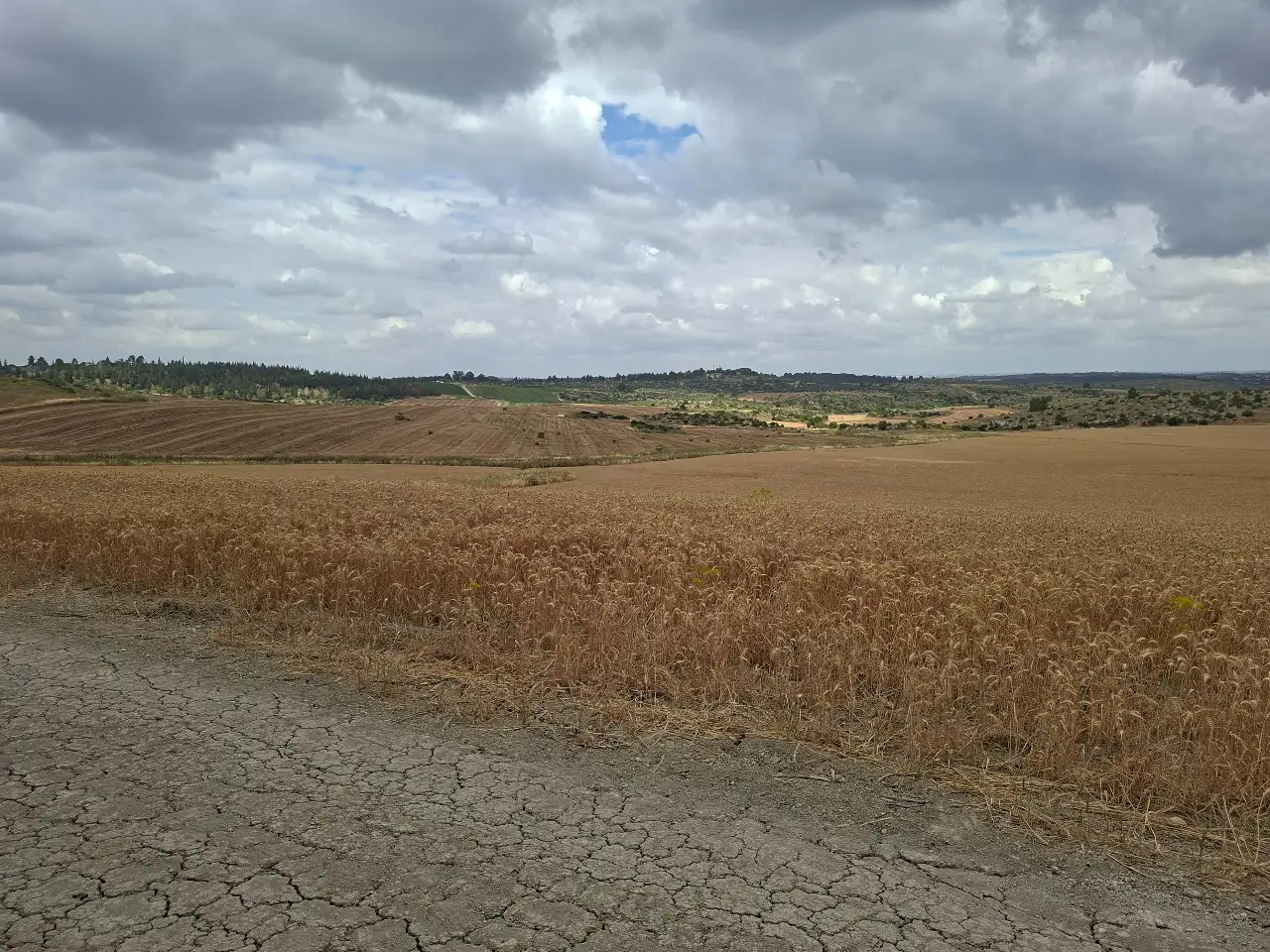 הדרכת שטח במצב atti לפני חג שבועות ברוחות חזקות מאוד