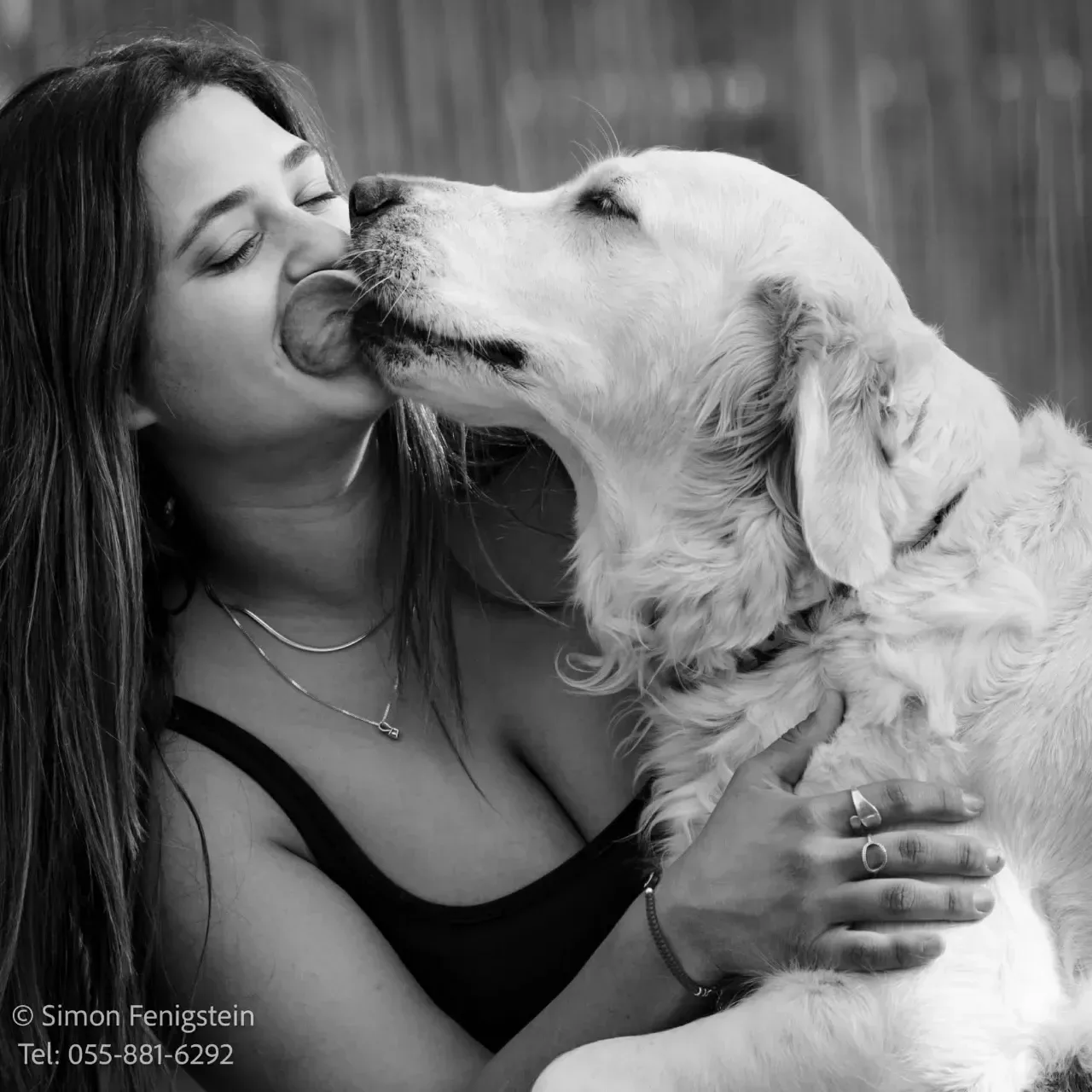 צילומי כלבים – ללכוד אופי, תנועה ורגש