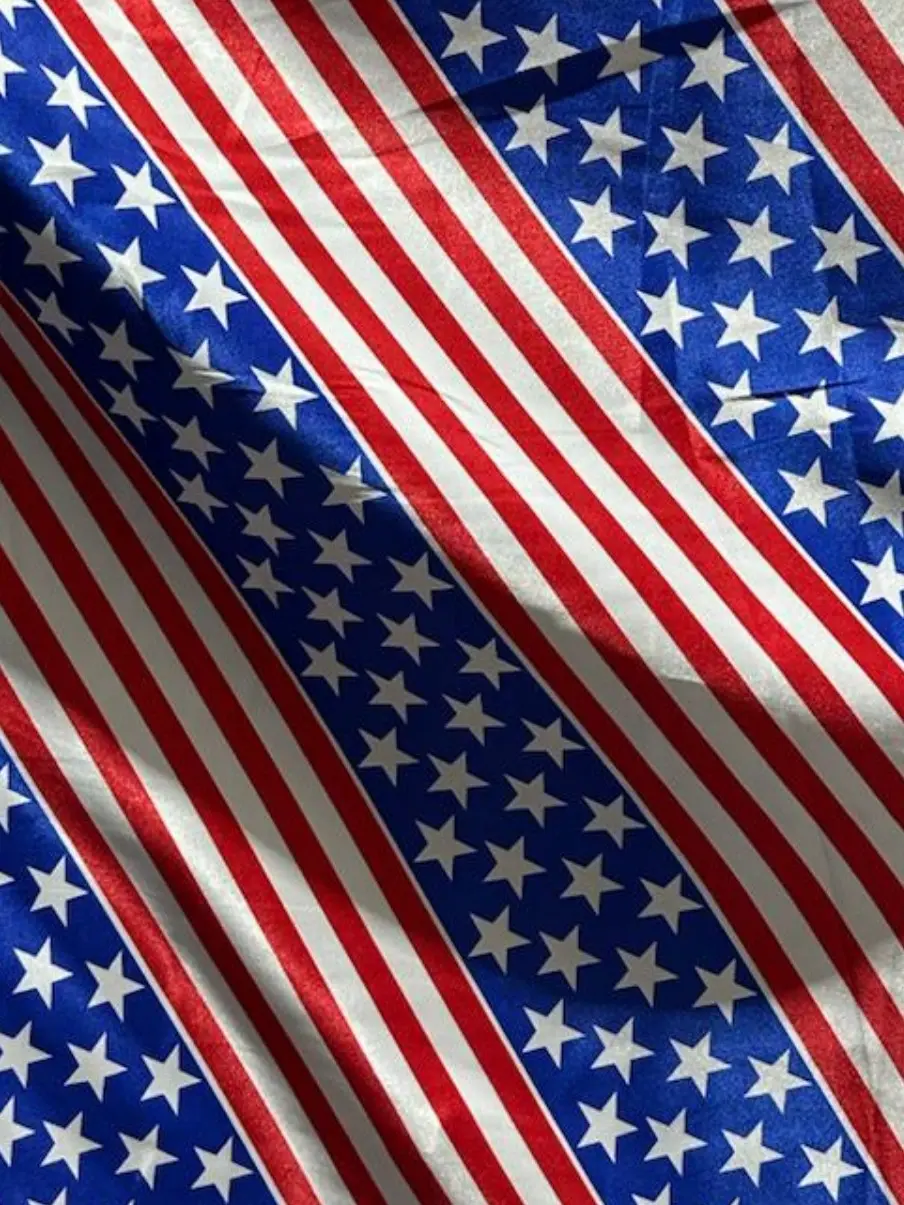 סטן מודפס פורים ותפאורה