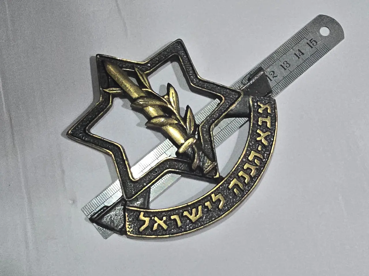סמל צבא הגנה לישראל גדול! לתלייה ככל הנראה על מגן...  מידות: 12X11 ס"מ