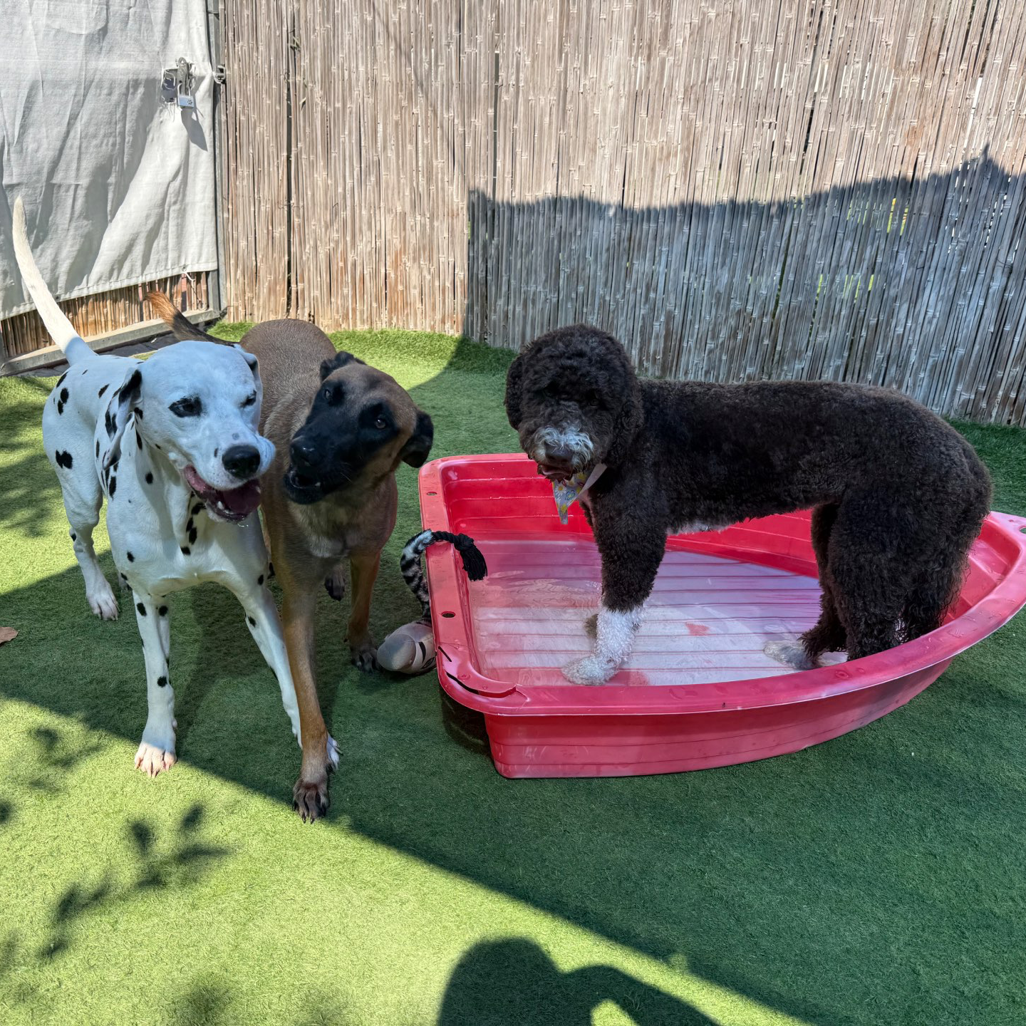 פנסיון שהות