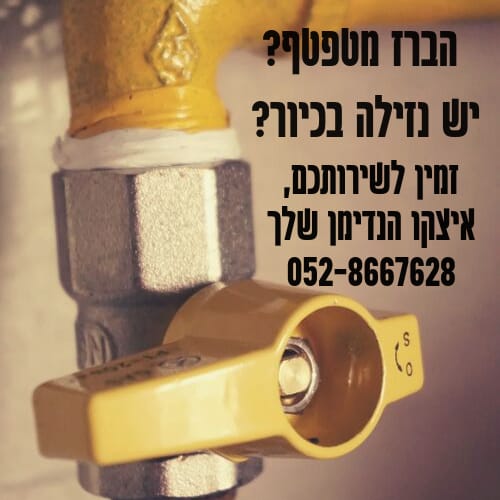 צבע סיוד ותיקוני שפכטל ואינסטלציה