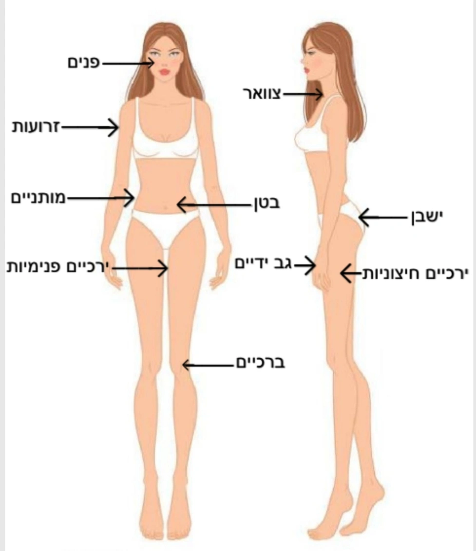 אזורים שבהם ניתן לטפל בצלוליט ולמיצוק העור: