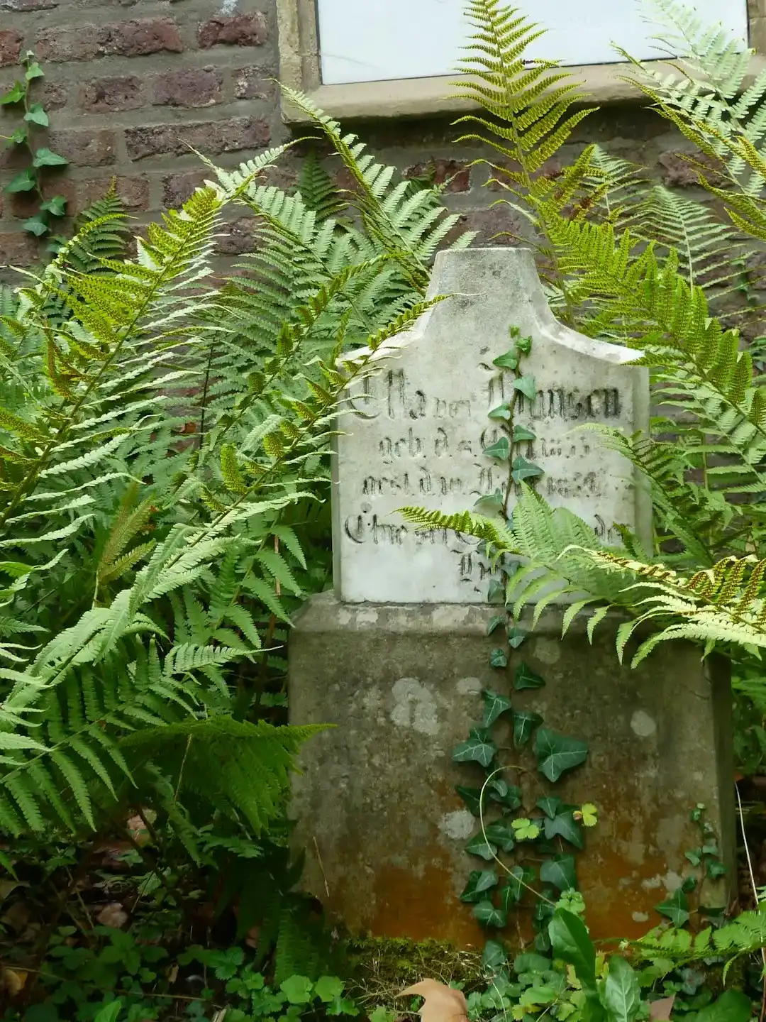 הבהרת האבן ושימור בסילר – טיפול שומר מראה לאורך שנים