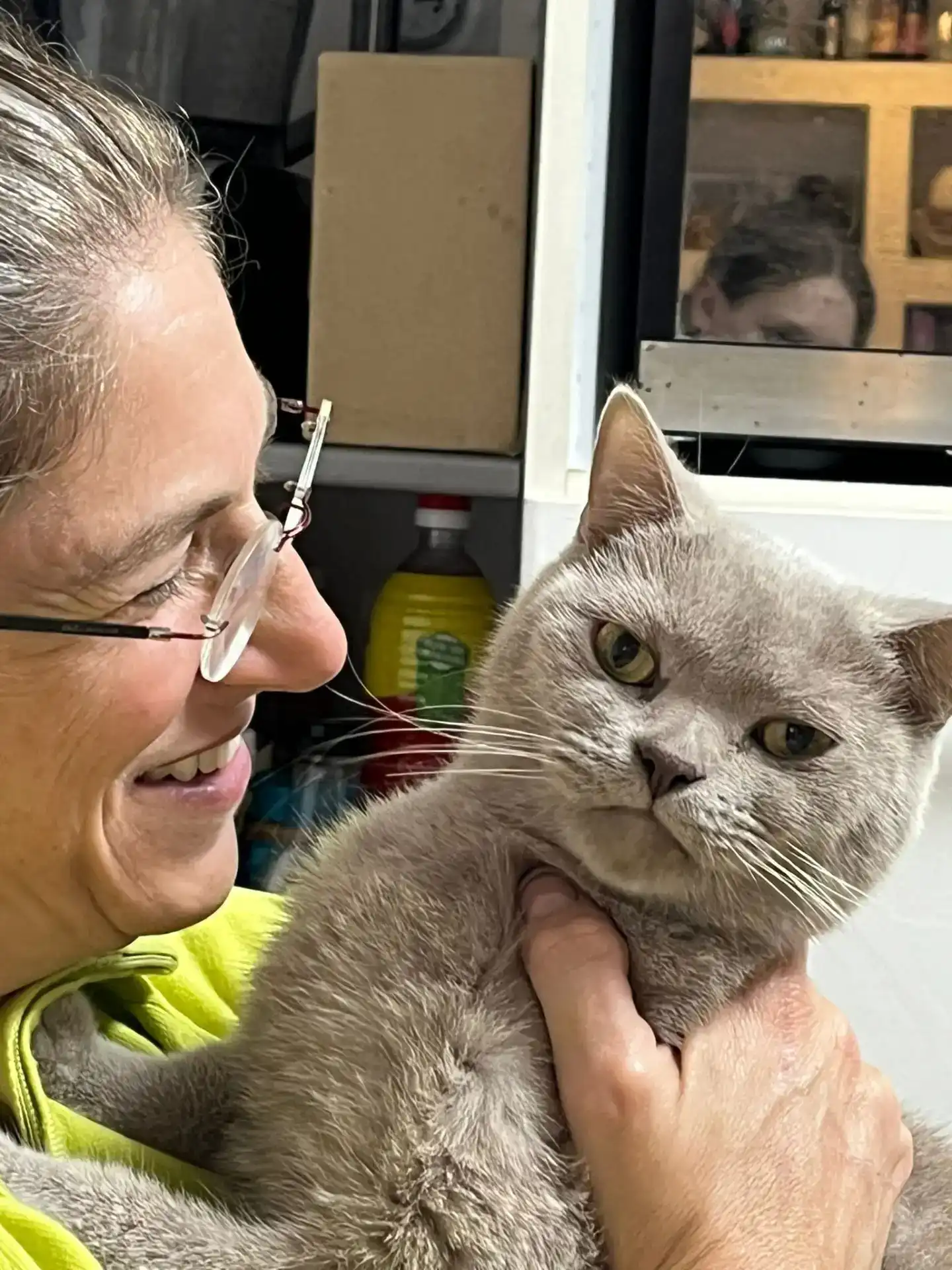 פרעושים וקרציות