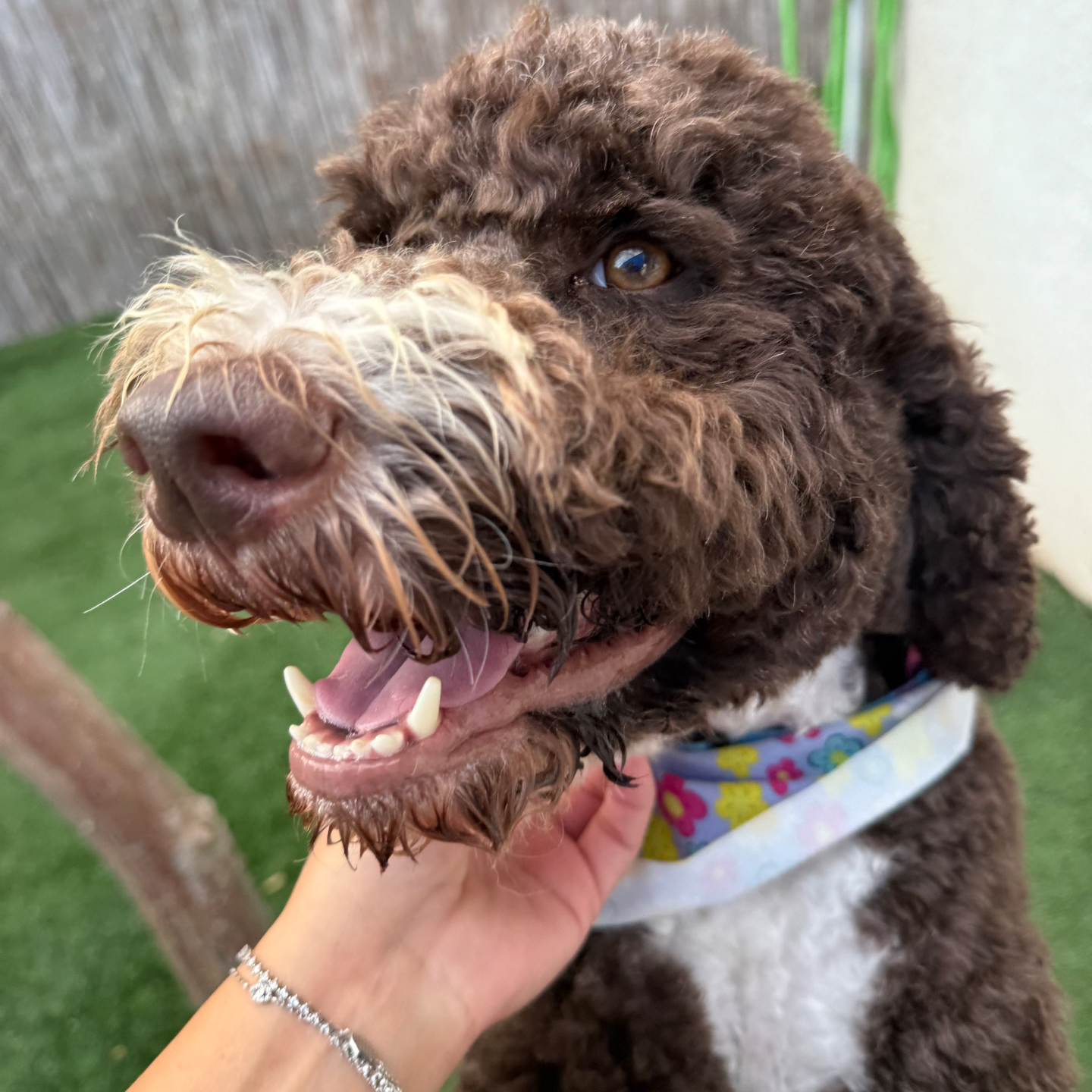 פנסיון שהות