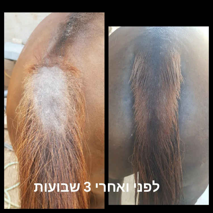 משחה לטיפוח ושיקום עור הסוס עשויה מ 100% רכיבים טבעים  המחיר כולל משלוח עד הבית  גודל : 1 ליטר