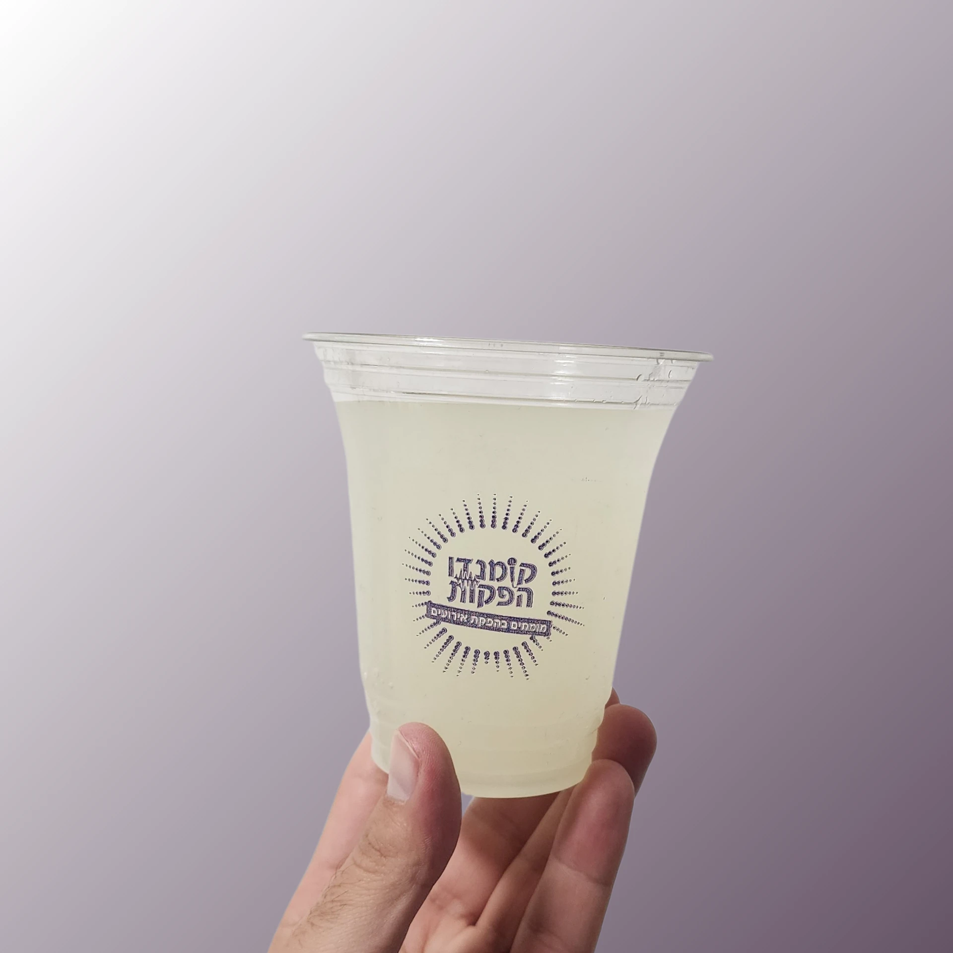 כוסות פלסטיק ממותגות 300 ml
