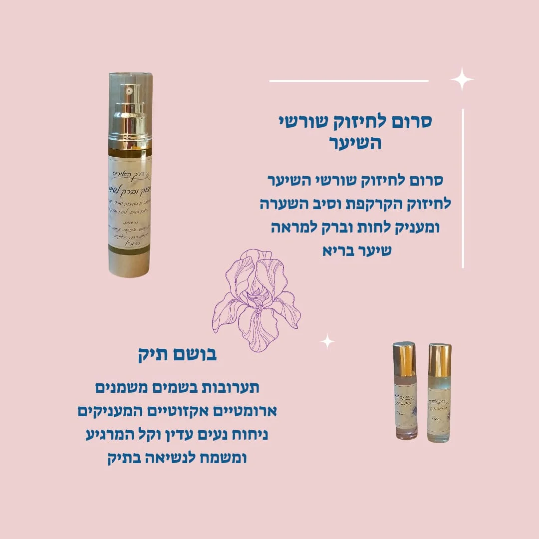 בושם תיק