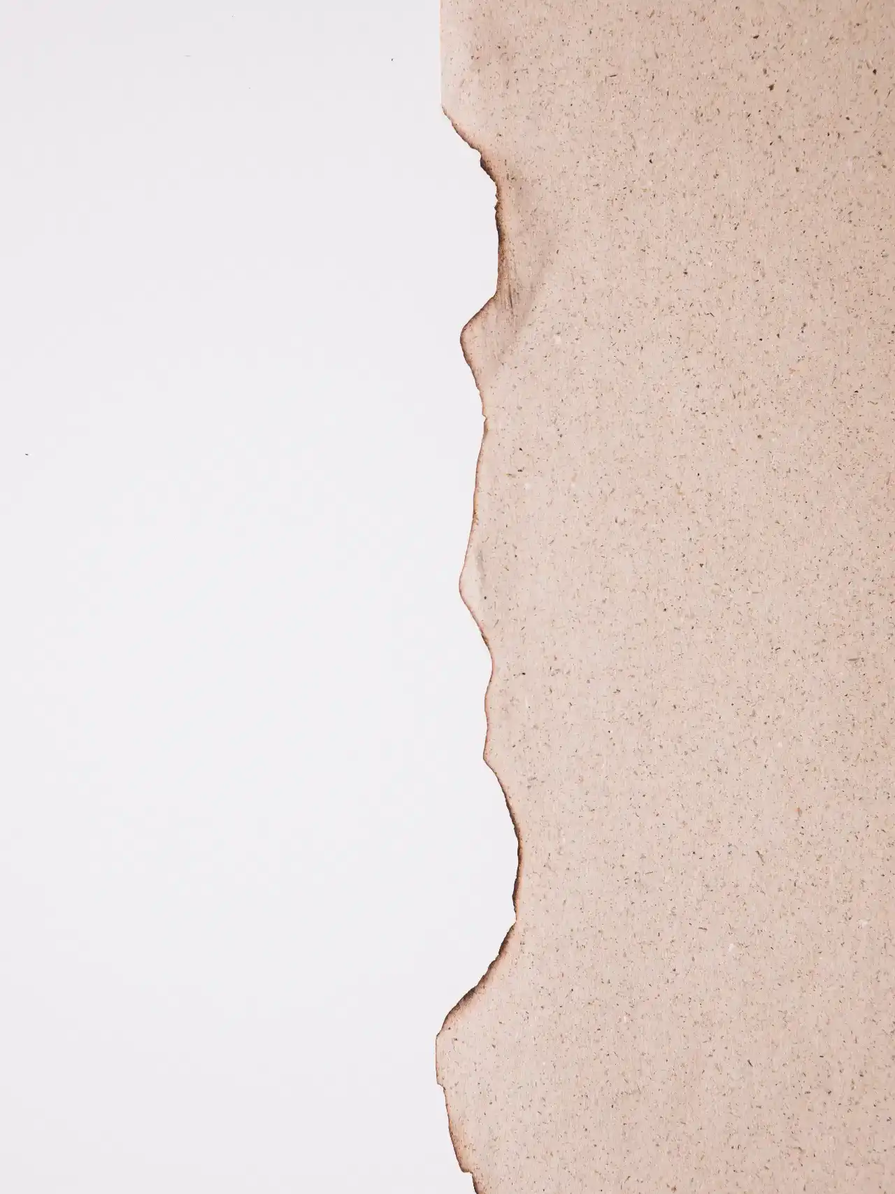 נייר פרגמנט ממותג לקונדיטוריה כחלק מהמותג | דניאל שיווק