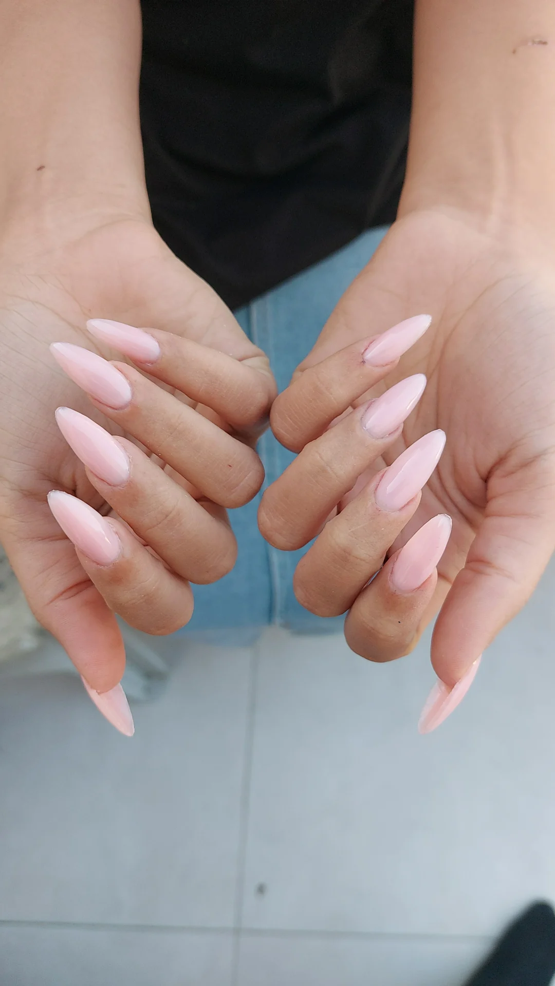 בניה ומבנה אנטומי