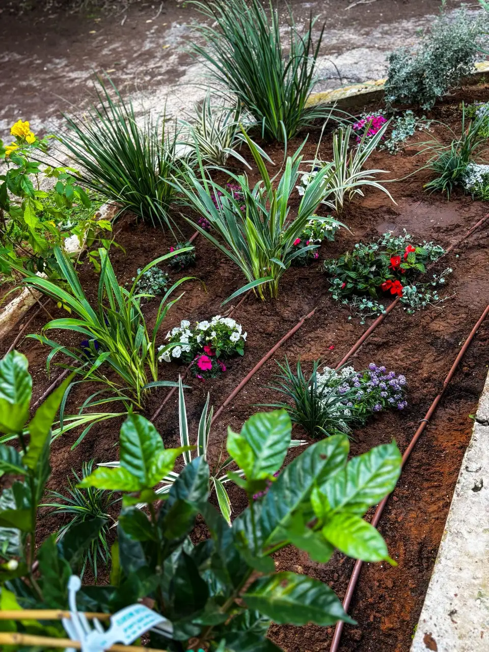 פתרונות השקיה