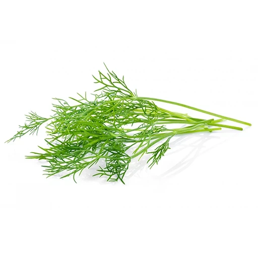 שמיר - 1 יחידה