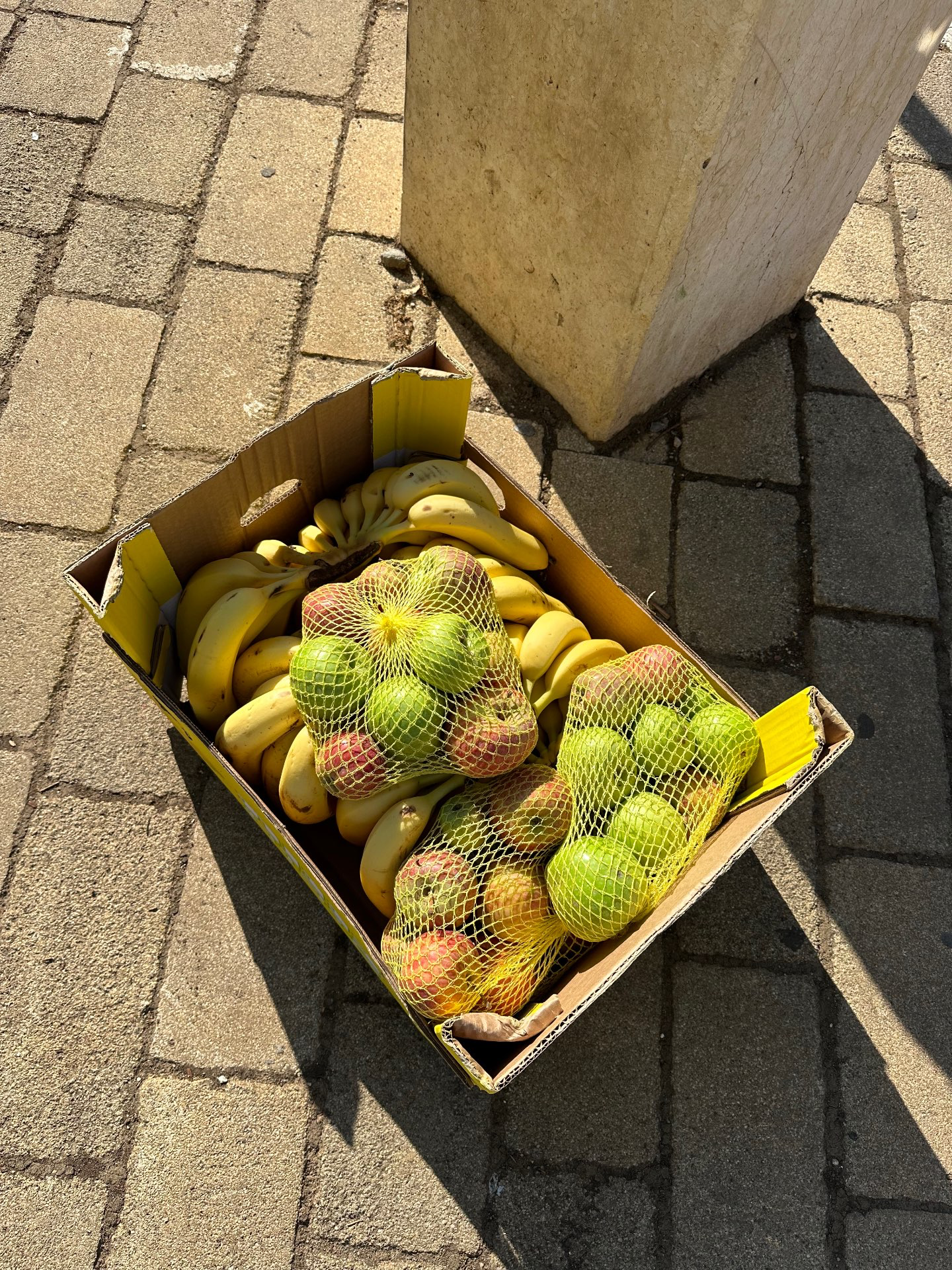 חרבות ברזל 2023