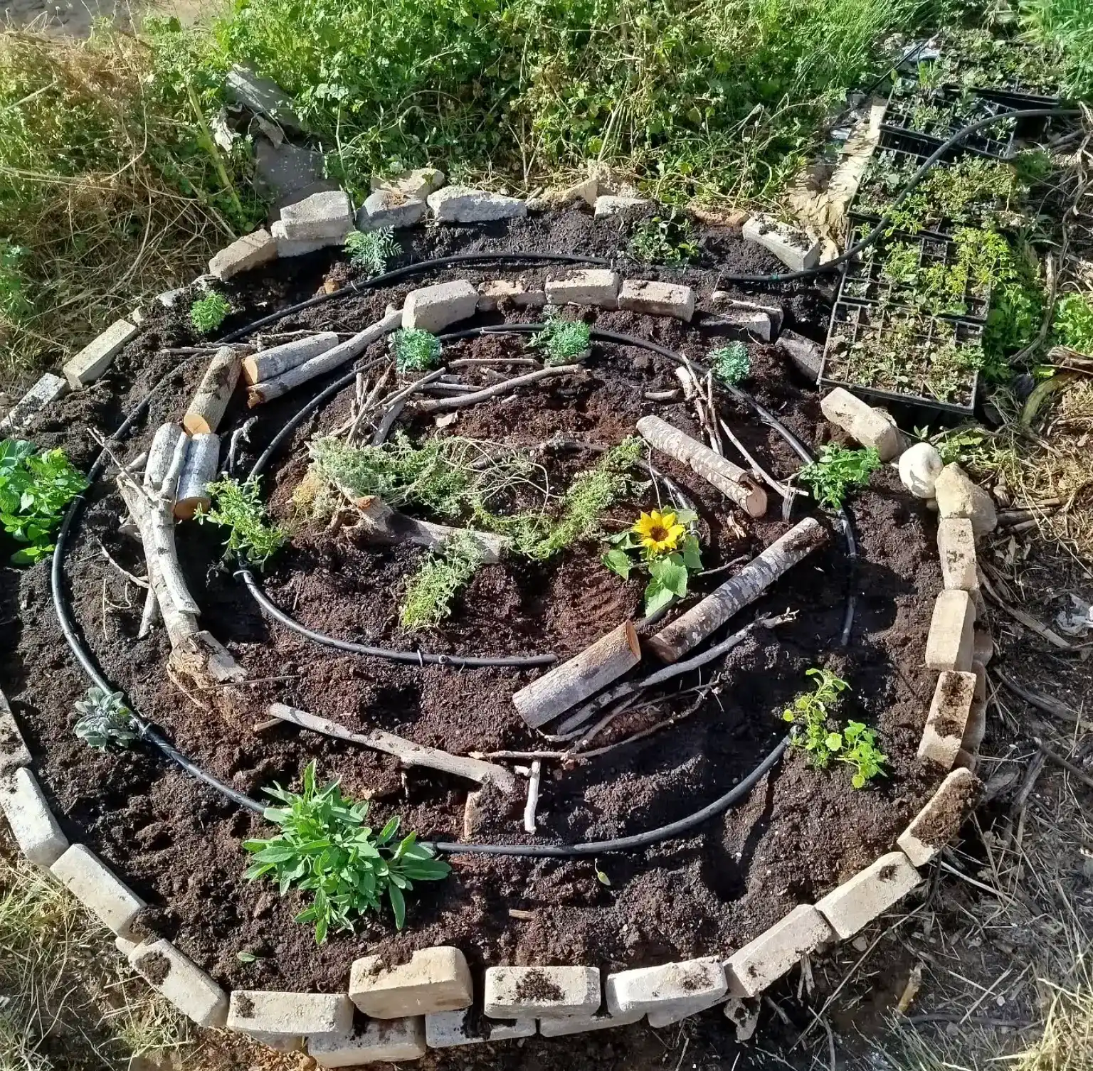 הקמת גינה בשיטת הפארמקלצ'ר