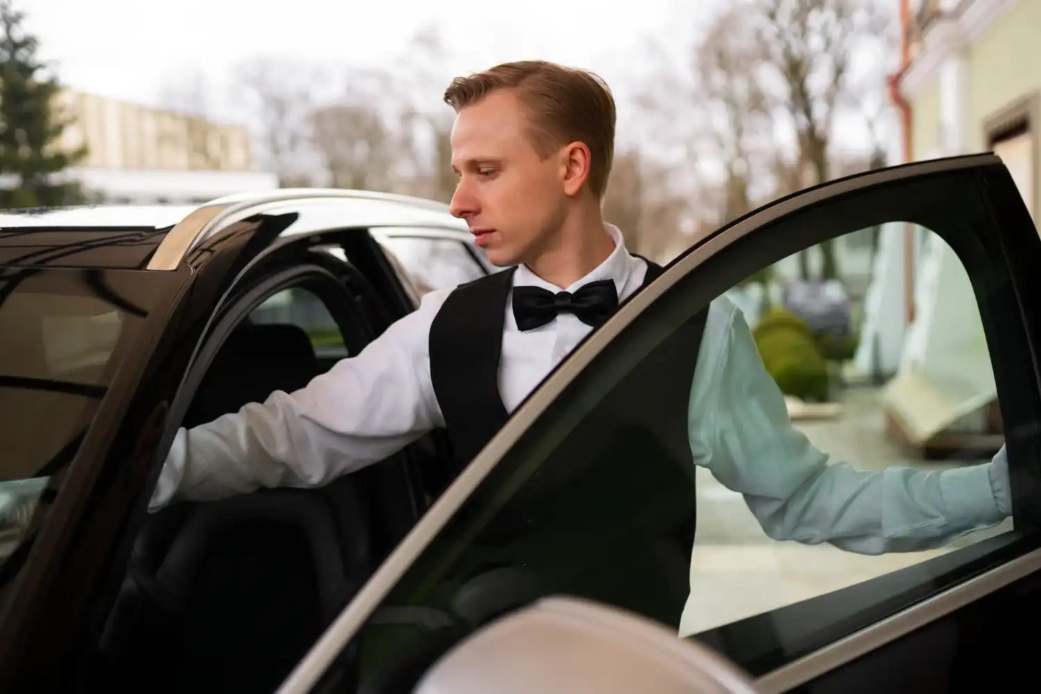 פאב הלימוזין בטבע