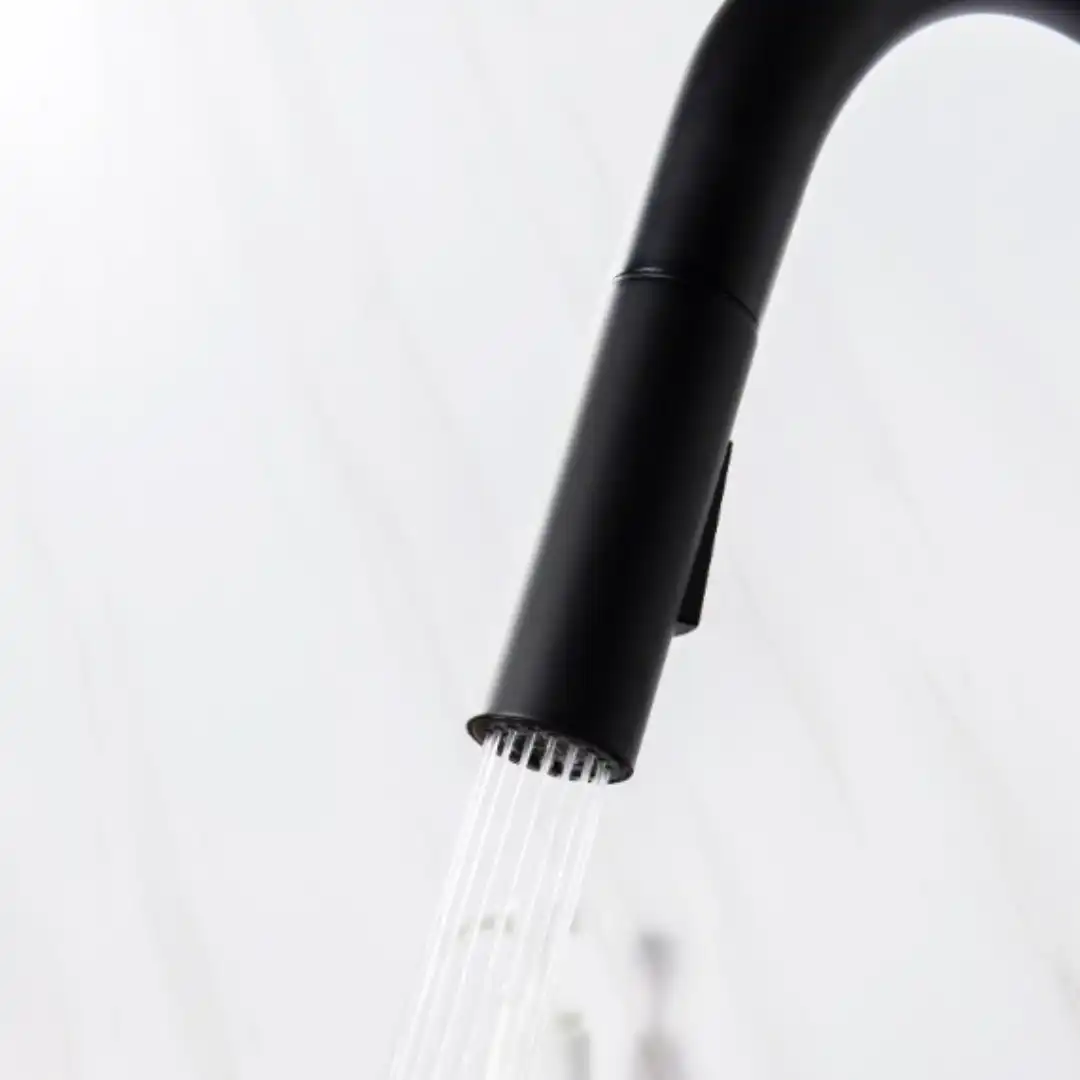 ברז מטבח שניידר שחור מט נשלף