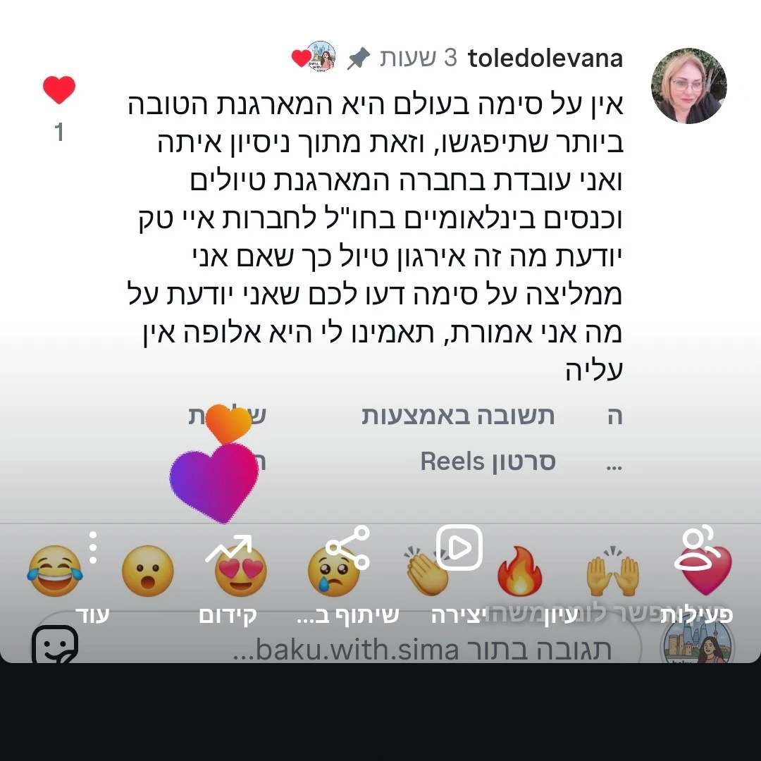 המלצה משירות VIP