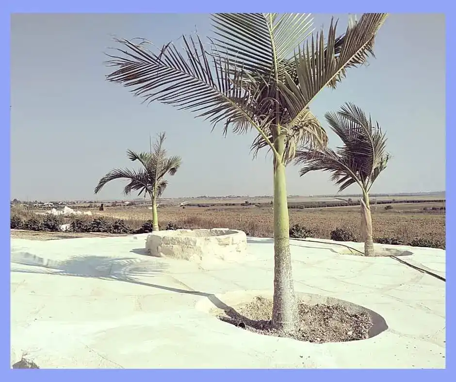 עבודות אבן טבעית- טרסות וריצוף חוץ