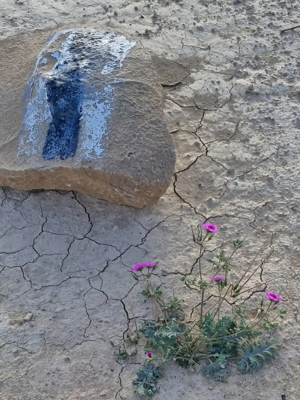 ליווי אישי כולל ציוד מנהלות מלא. 