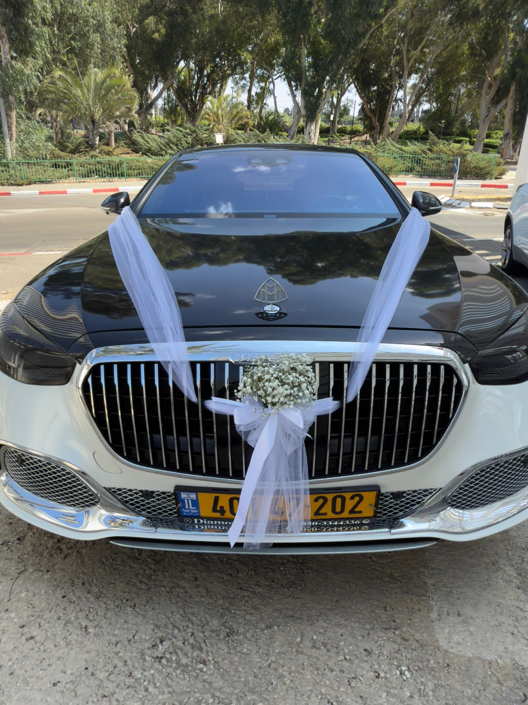 זר כלה | קישוט רכב