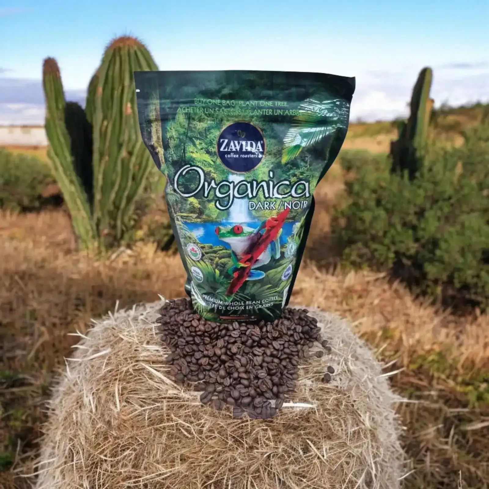 פולי קפה (907 גרם)