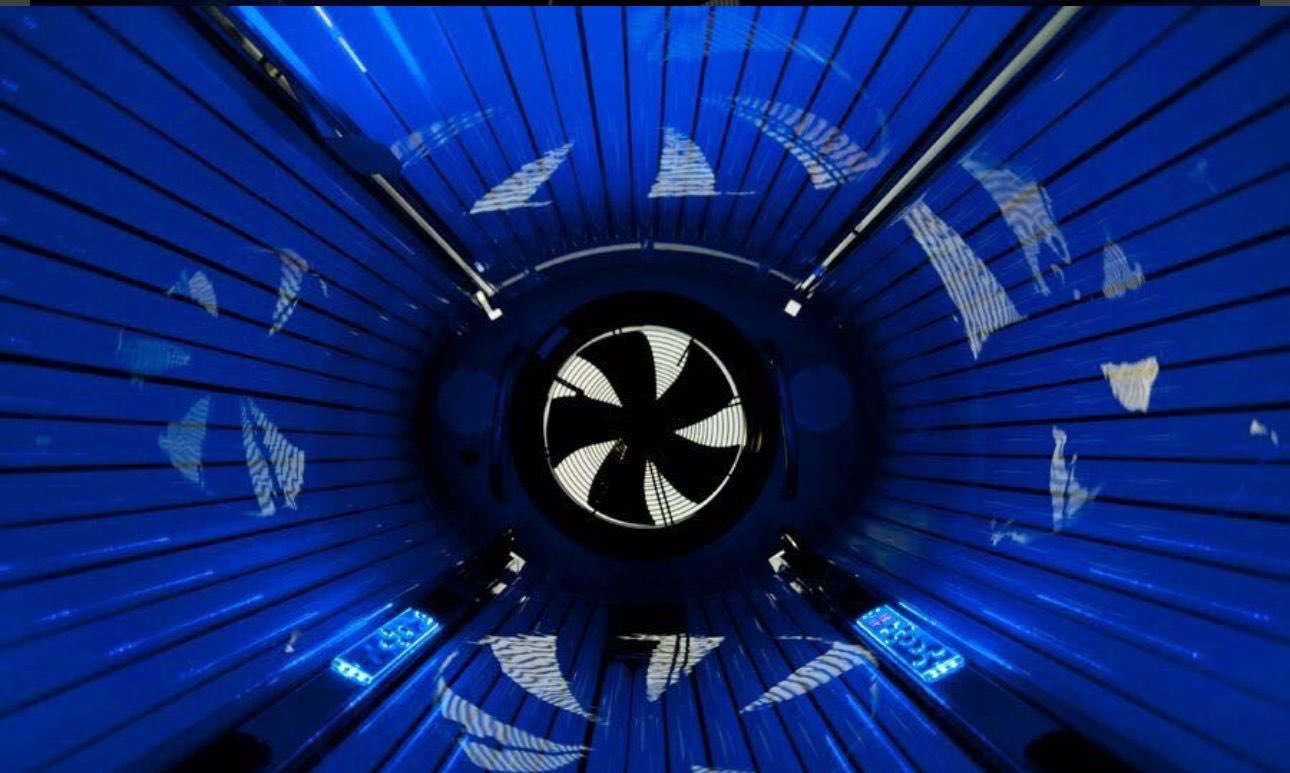 מקלחון שיזוף