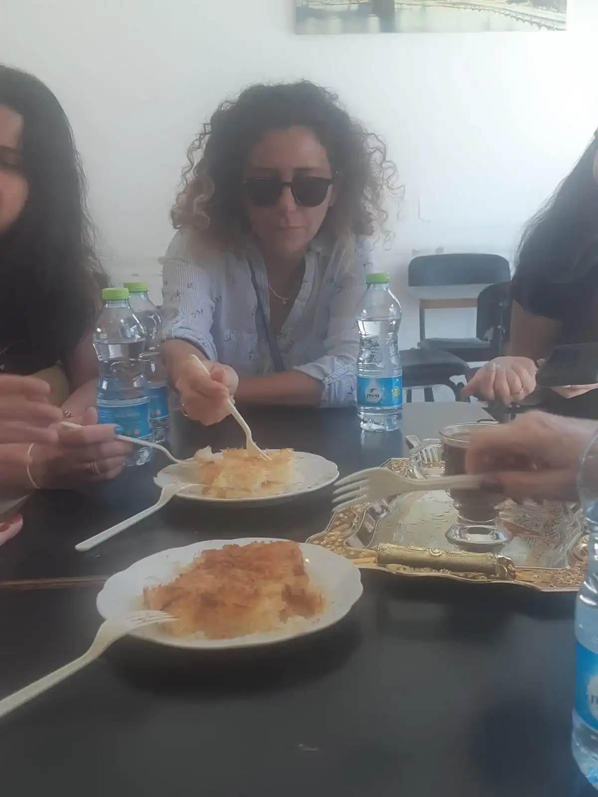 סיור בכפר אבו גוש