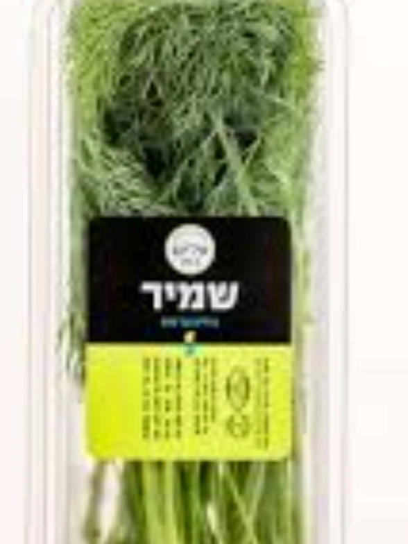שמיר