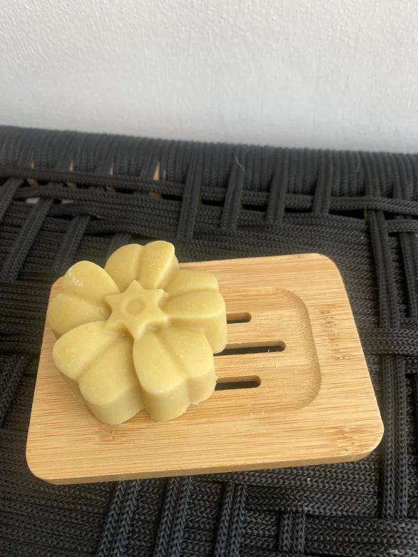 סבוניות ( סבוניית עץ /מגנט)