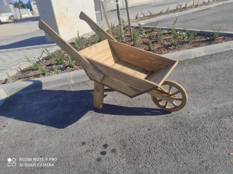 מריצה מעוצבת לנוי