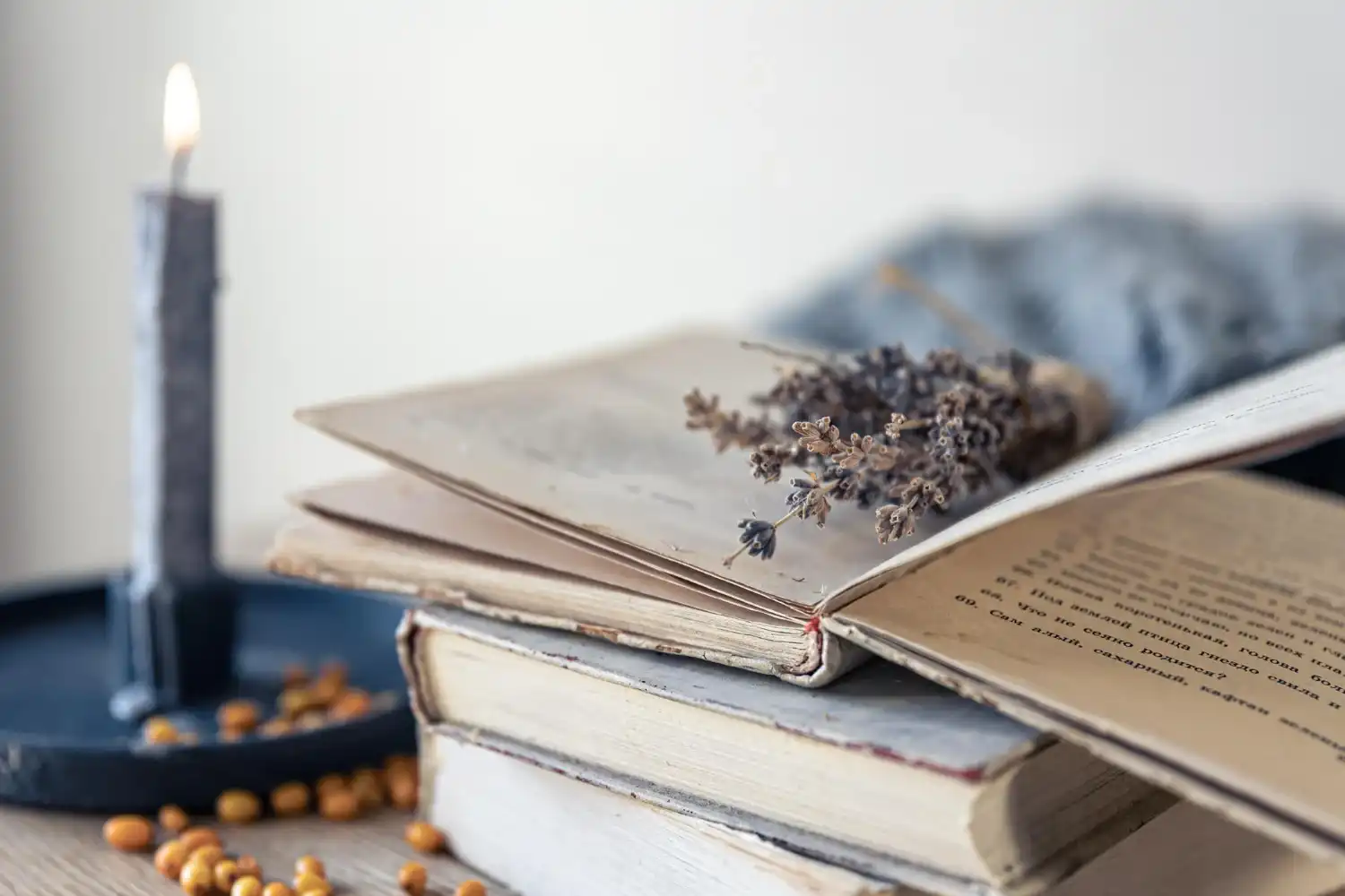 המפגש בין טיפול לספרות – מסע בין מילים ורגשות