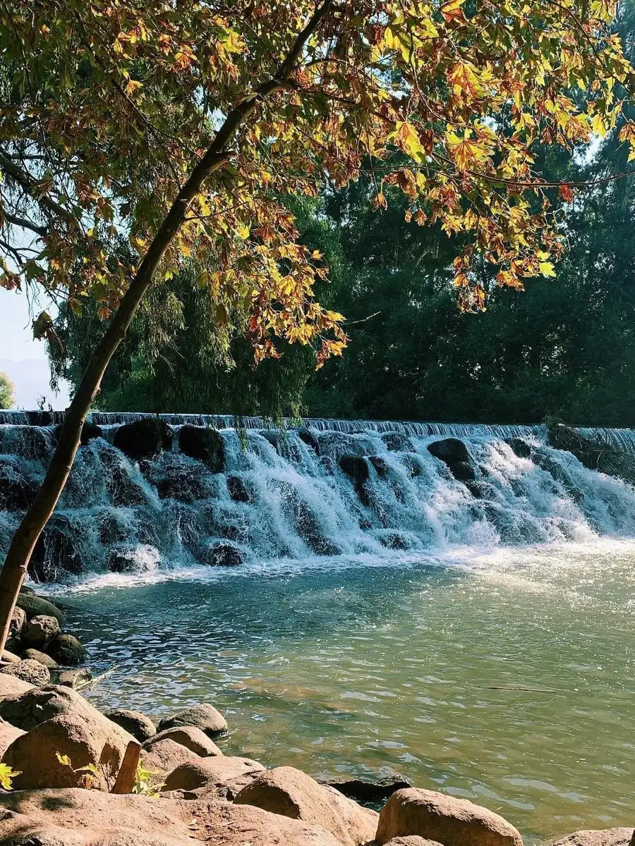 הנוף באיזור