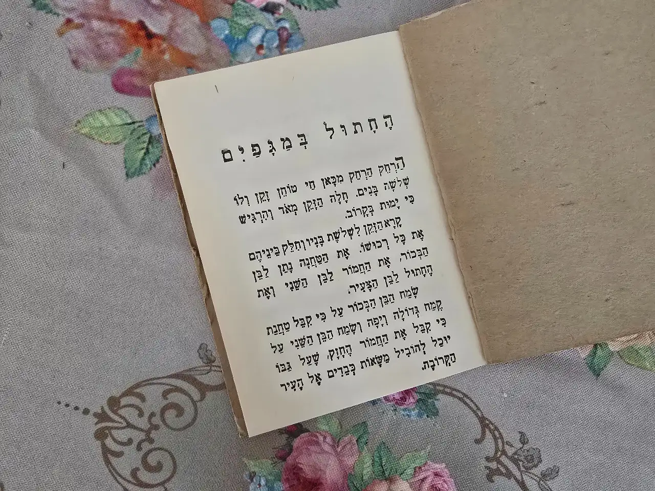 ספרון/ספר. חתול במגפים הוצאת פישר/גמד שנת 1950