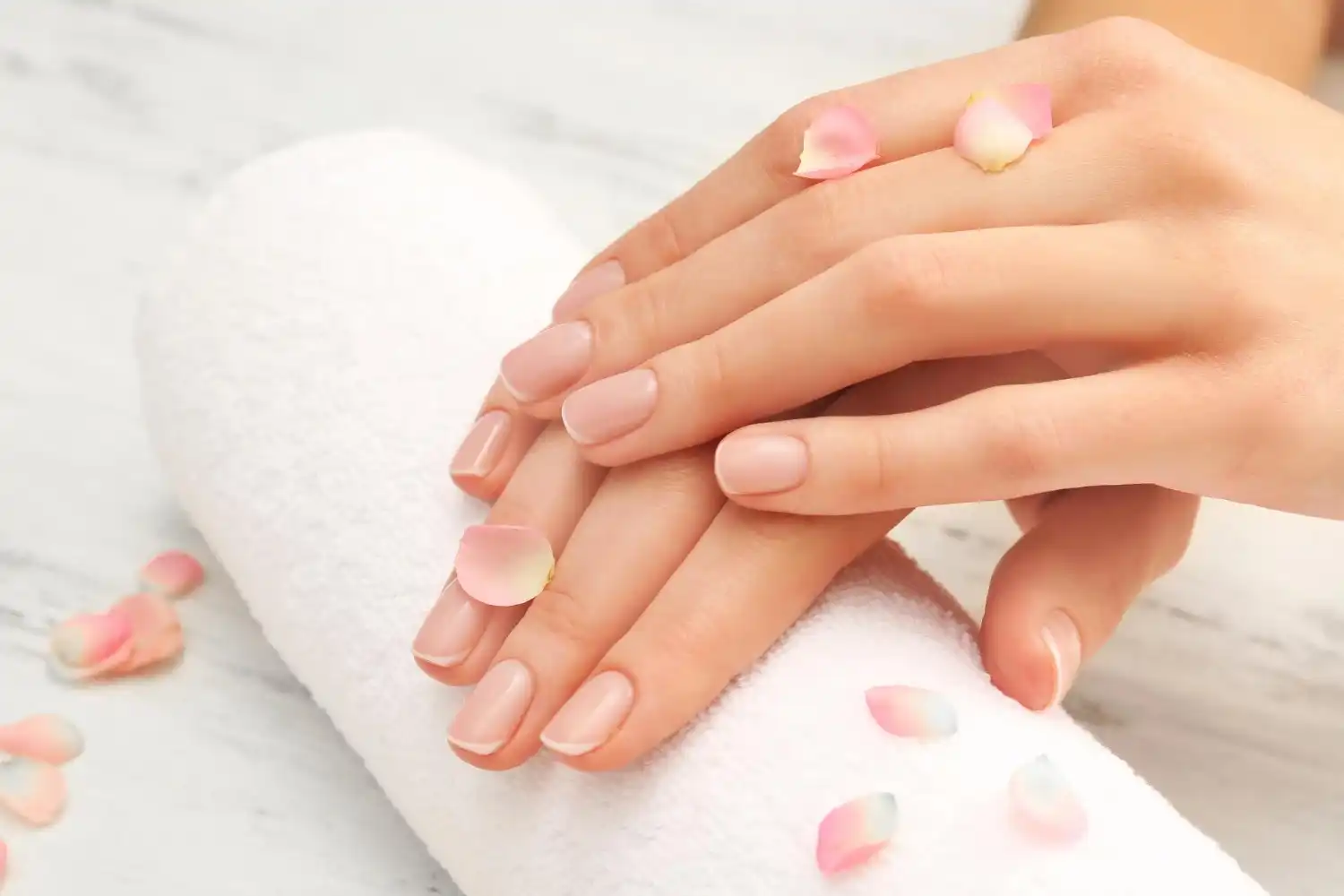 בנייה בלק ג׳ל