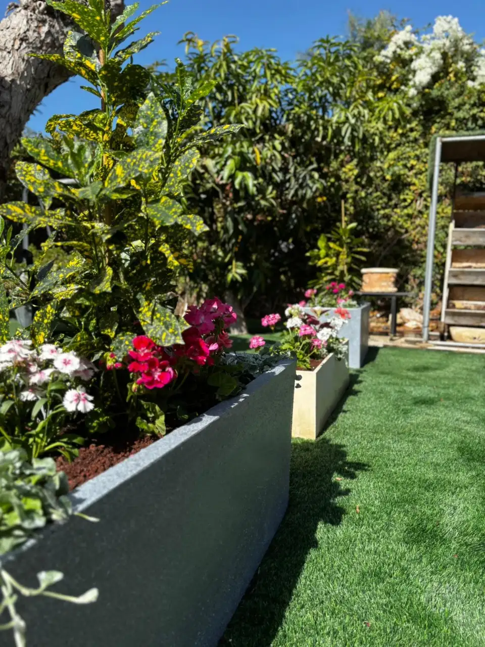 שתילה מחודשת בהתאם לעונות השנה