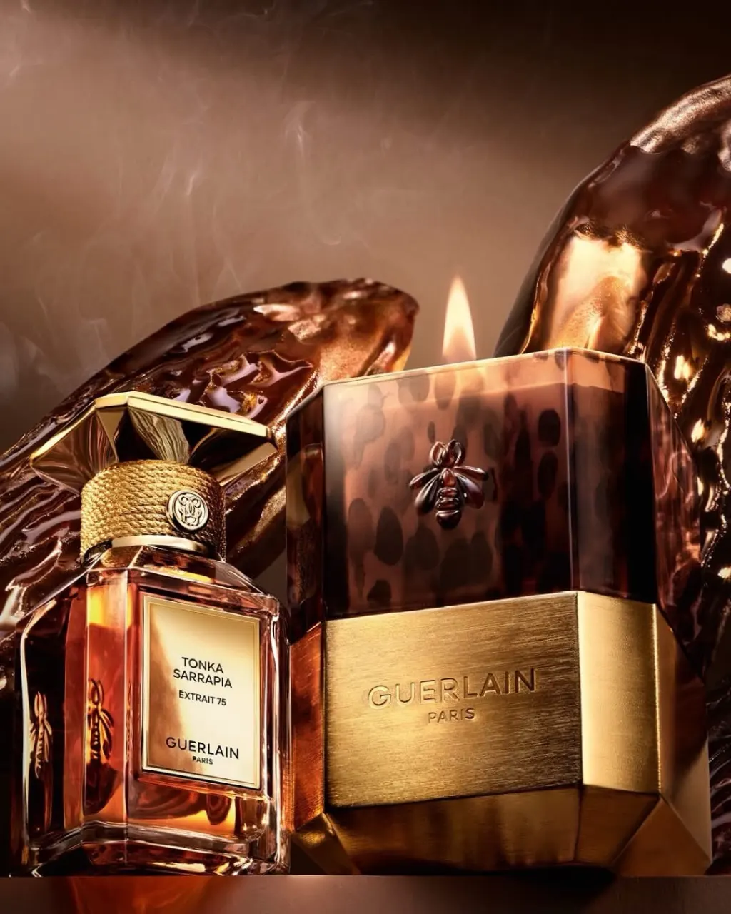 𝗧𝗼𝗻𝗸𝗮 𝗦𝗮𝗿𝗿𝗮𝗽𝗶𝗮