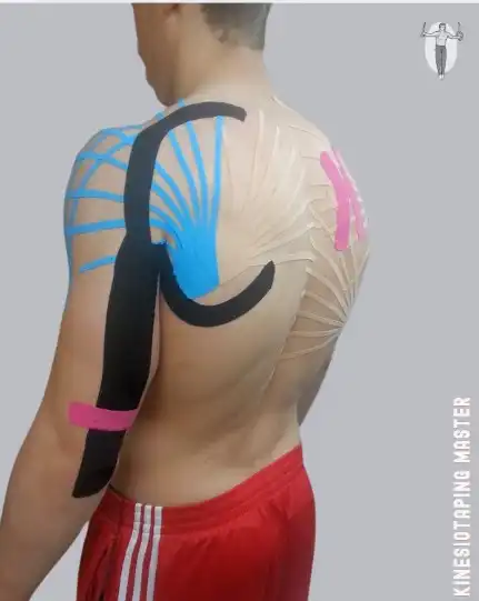 Aplication in Gymnastic - Rings 