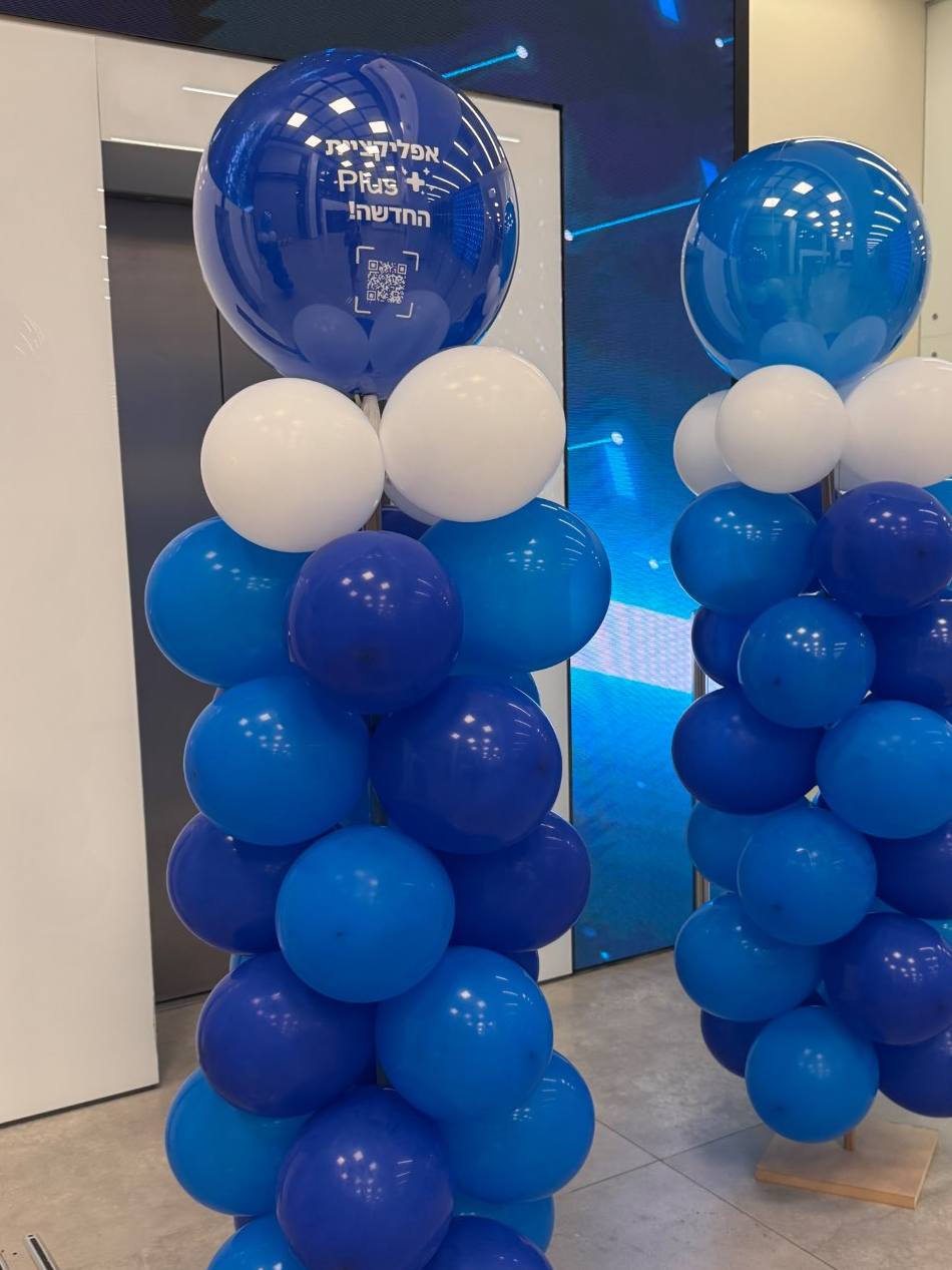 חגיגיות והשקה