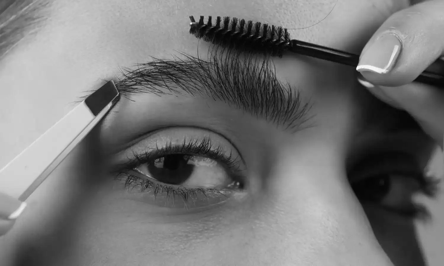 עיצוב גבות חוט, שעווה, פינצטה וצבע