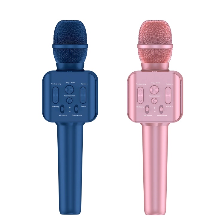 רמקול ומיקרופון אלחוטי