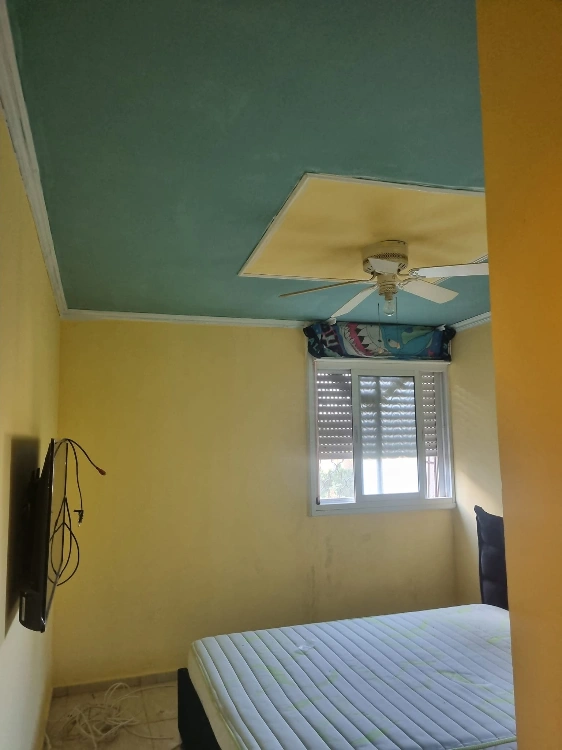 משחק עם צביעה + הרכבה כרניזים