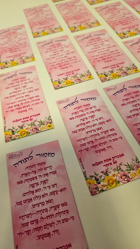 מיתוג בת מצווש✨️