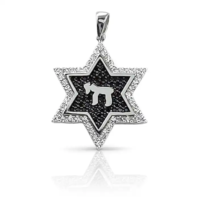 מגן דוד עם חי – תליון יודאיקה 14K