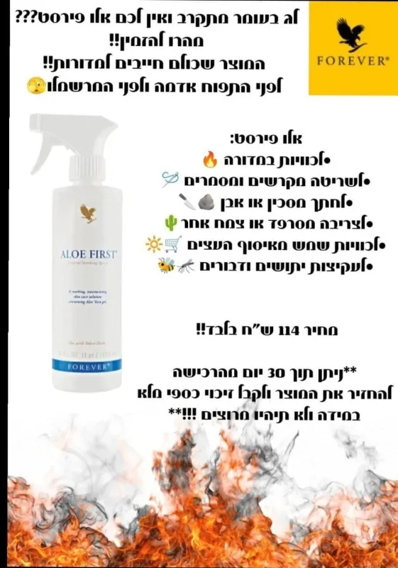 אלופירסט- חובה בכל בית!