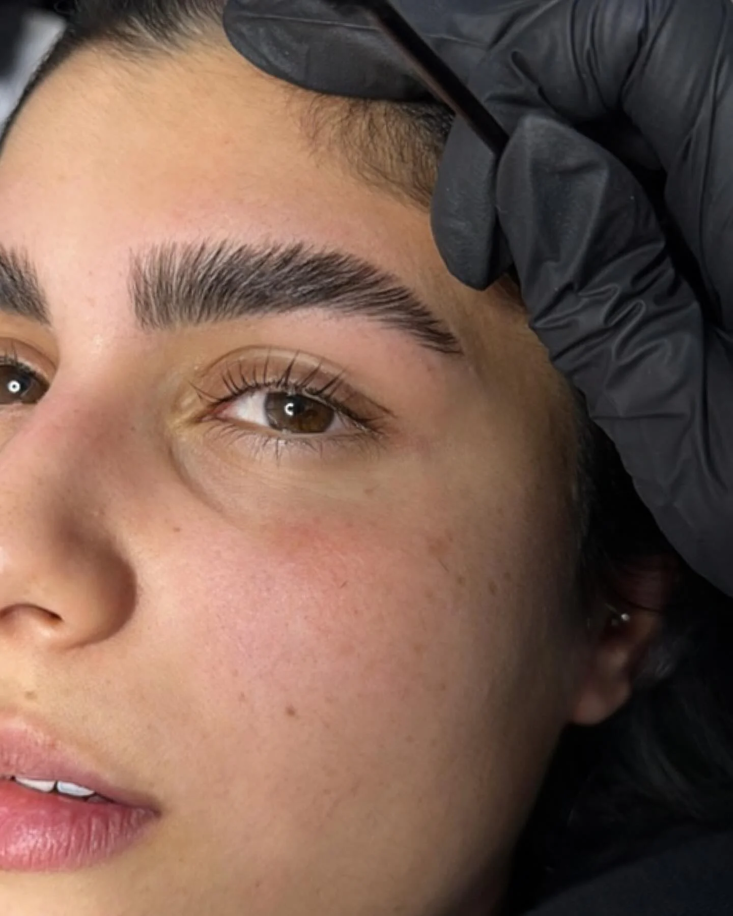 עיצוב גבות מקצועי | Brow by shoval