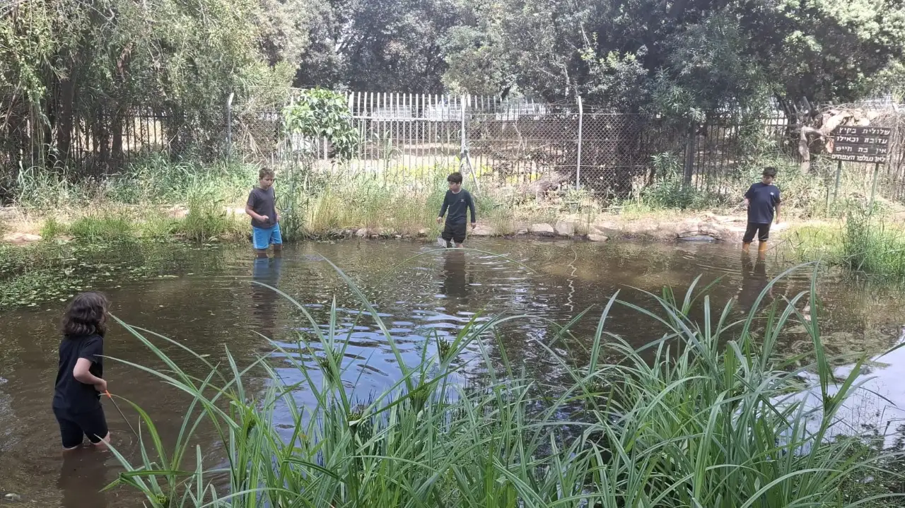 סדנאות טבע לילדים