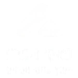 shamrizweb