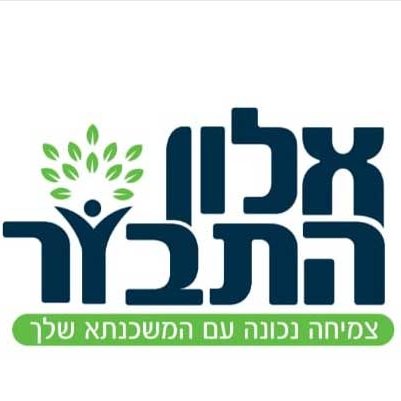 alonmashkan